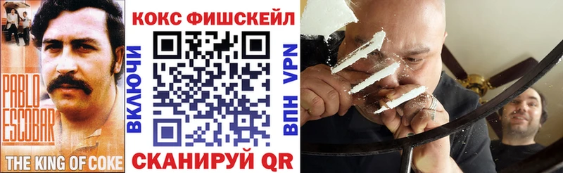 COCAIN Fish Scale  ссылка на мегу ссылка  Черноголовка  наркошоп 