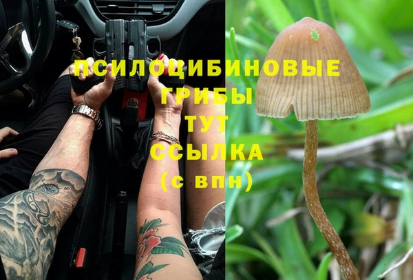 хмурый Коряжма