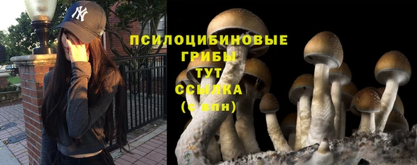 МДМА Костерёво