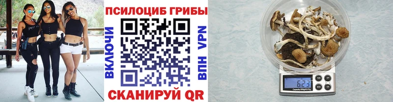дарк нет как зайти  Черноголовка  Галлюциногенные грибы Cubensis  магазин    блэк спрут рабочий сайт 
