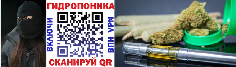 Шишки марихуана SATIVA & INDICA  закладки  Черноголовка 